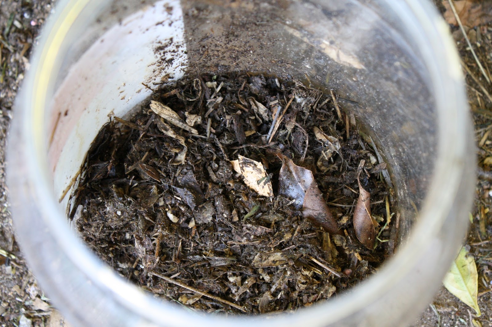Sunny Simple Life How to Make Compost Tea
